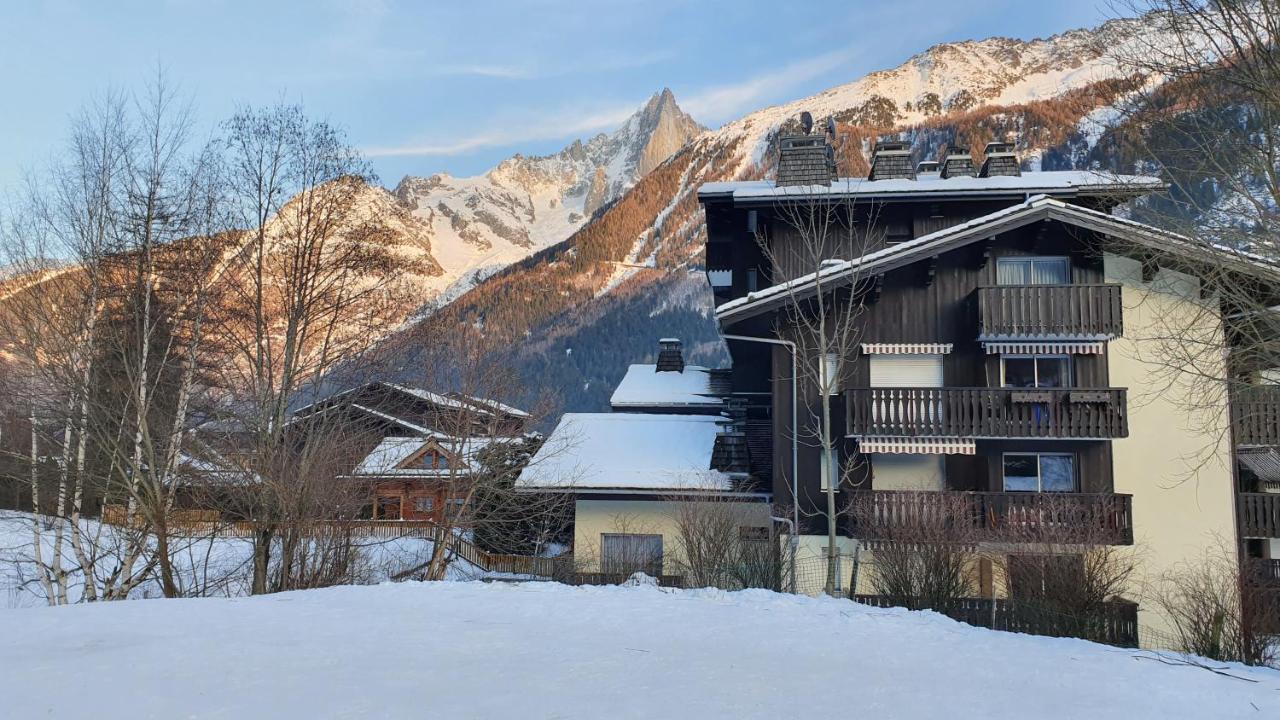 Cosy Studio On The Slopes And Centre Of Chamonix Exterior foto